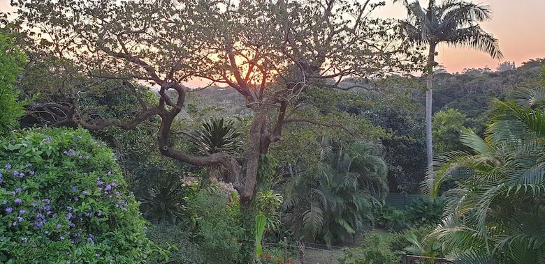 Sunbirds B&B - Adults Only