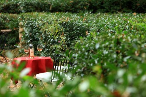 Bed & Breakfast Chateau De Saint Martin