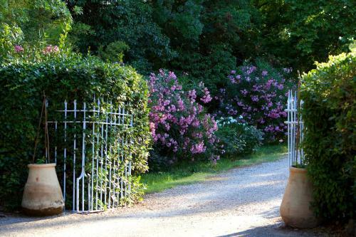 Bed & Breakfast Chateau De Saint Martin