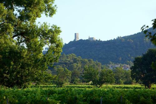Bed & Breakfast Chateau De Saint Martin