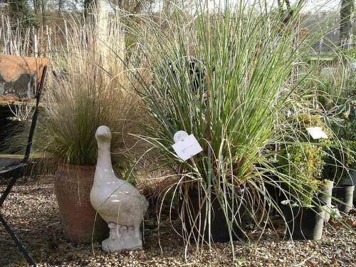 G�tes Du Jardin Francais