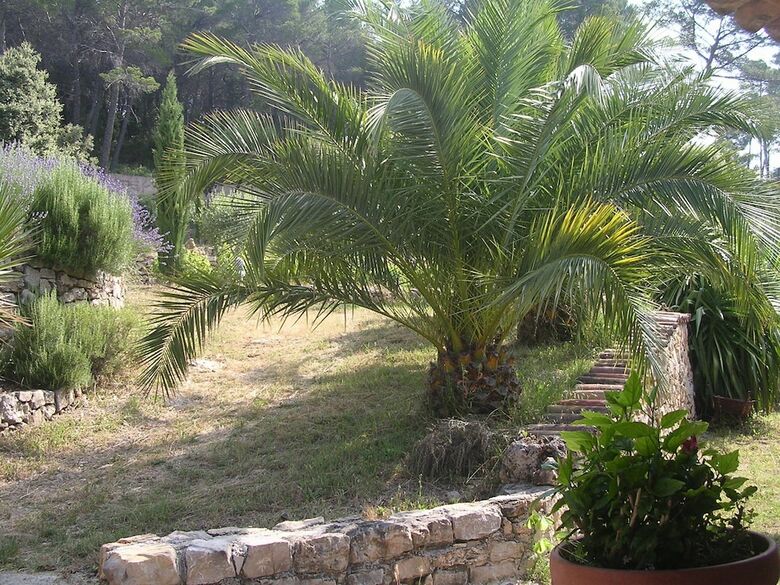 Bed & Breakfast Chambres D'h�tes La Madonette