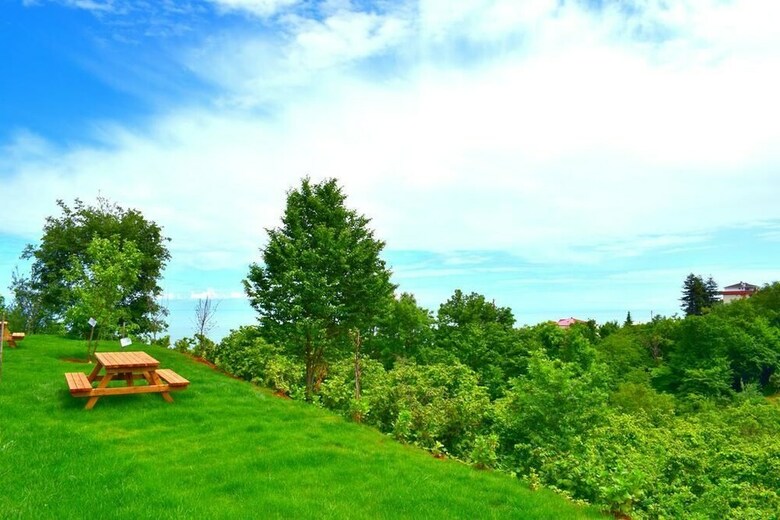 Hotel Zahi Bungalov