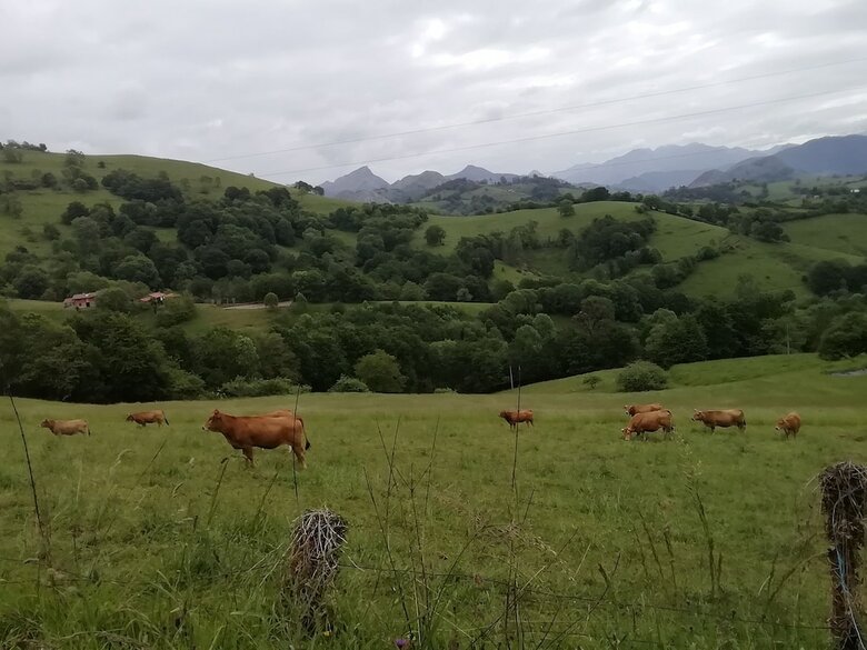 Agroturismo Casa de Horno