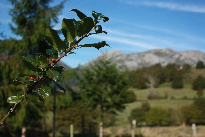 Agroturismo Casa Oriental