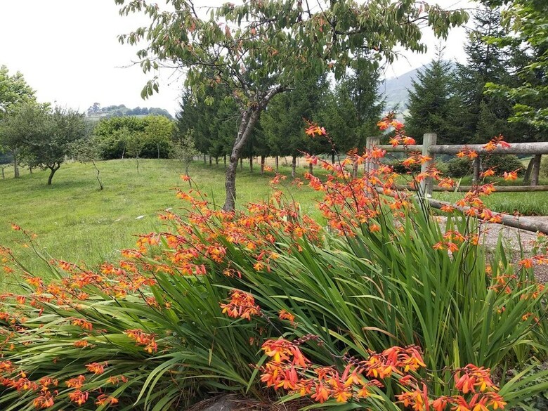 Agroturismo Casa Oriental