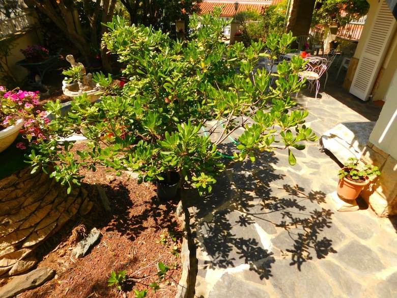 Apartamento La Cuana - A216