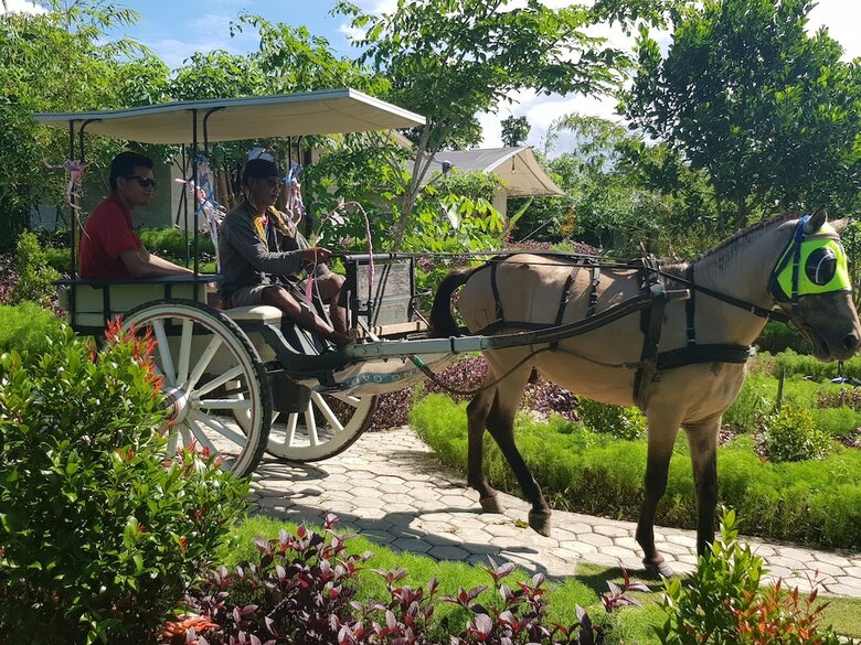 Hotel D'bamboo Kamp