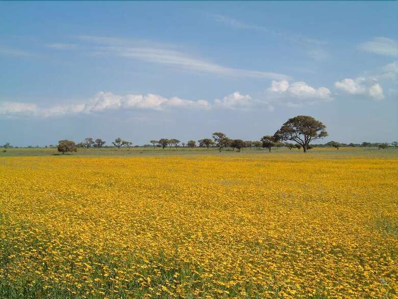 Agroturismo L'oasi Del Cervo