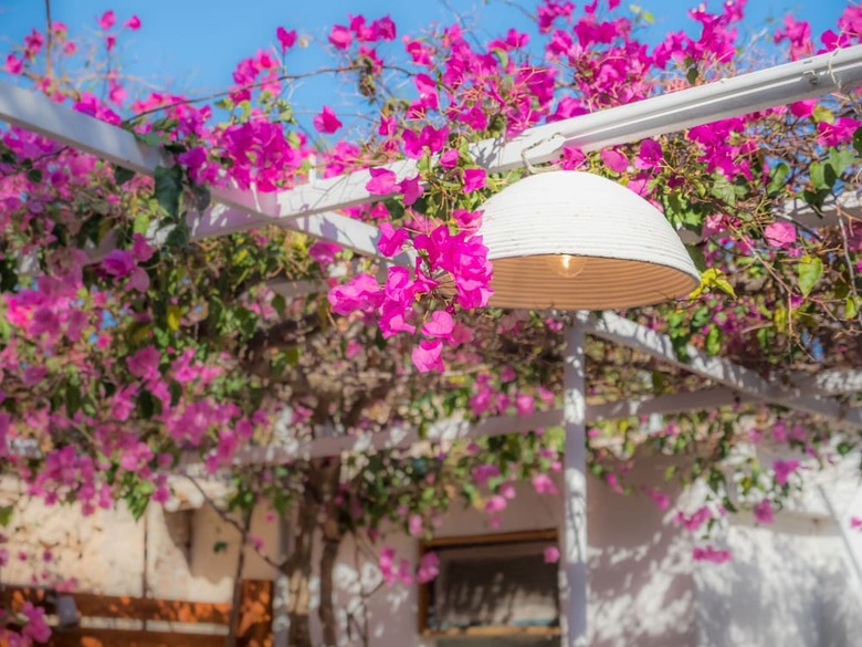 Fairytale House Aghia Marina Aegina
