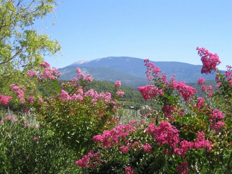 Bed & Breakfast Chambres D'hotes Chanterelle