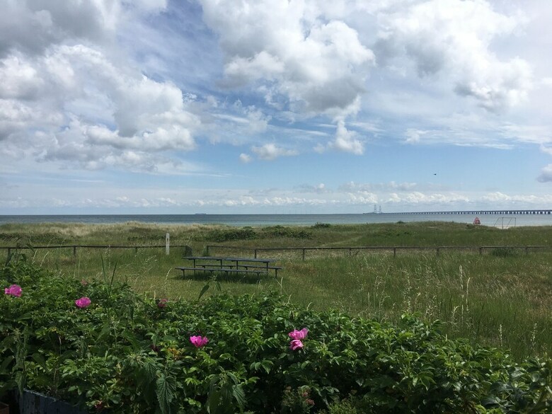 Apartamentos Skaerven Beachfront Condos And Cottage