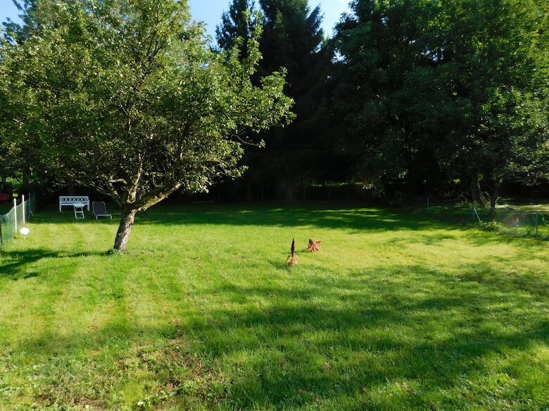 Apartamentos Ferienapartments Ida