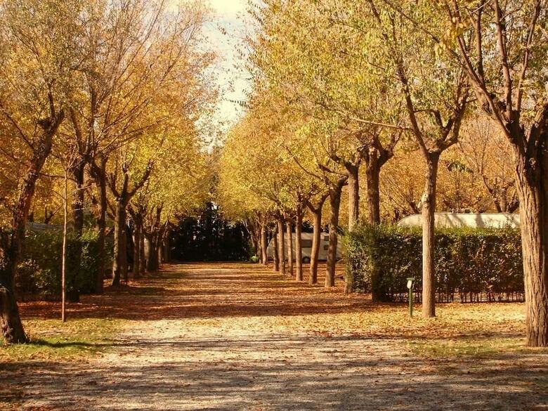 Camping & Bungalows Suspiro Del Moro