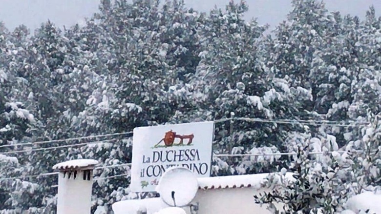Agroturismo Agriturismo La Duchessa E Il Contadino