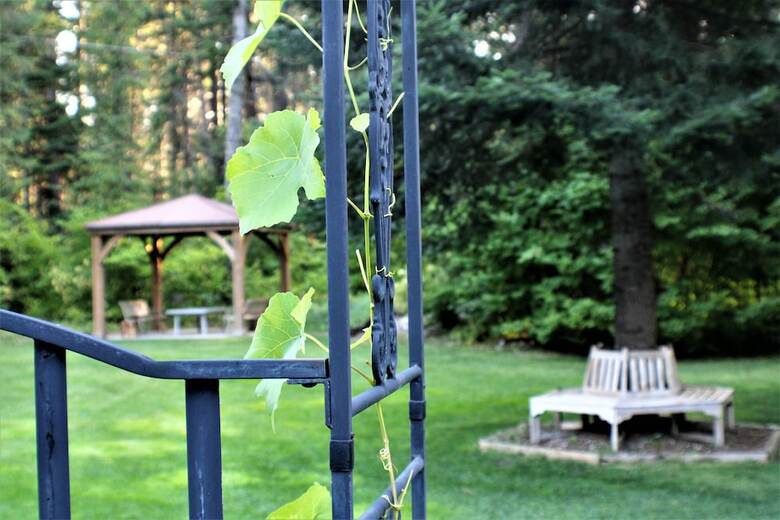 Bed & Breakfast River Road Venue & Lodging