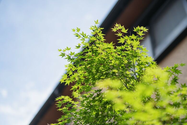 Apartamentos Beppu Rikyu