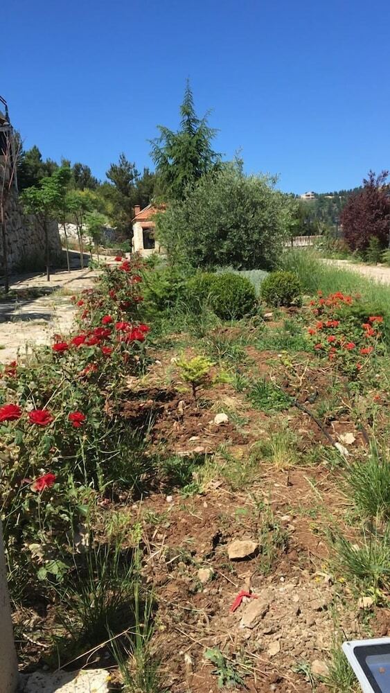 Bed & Breakfast Ch�teau Sainte-andr�e