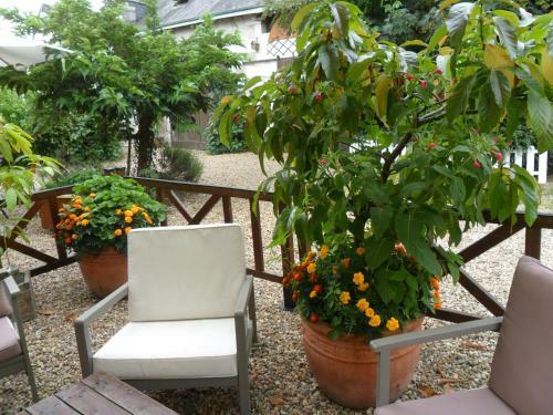 Bed & Breakfast Chambres D'h�tes La Turone