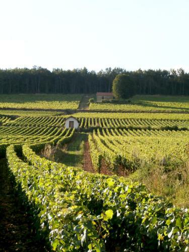 Bed & Breakfast Les Demoiselles De Ladoix