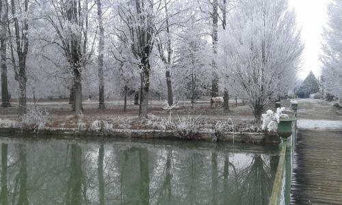 Bed & Breakfast Ch�teau De Serrigny
