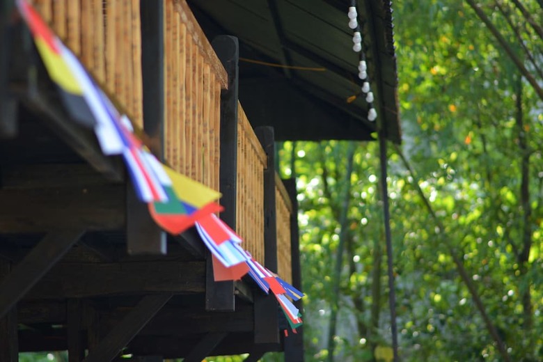 Hostal The Art - Golden Jungle House