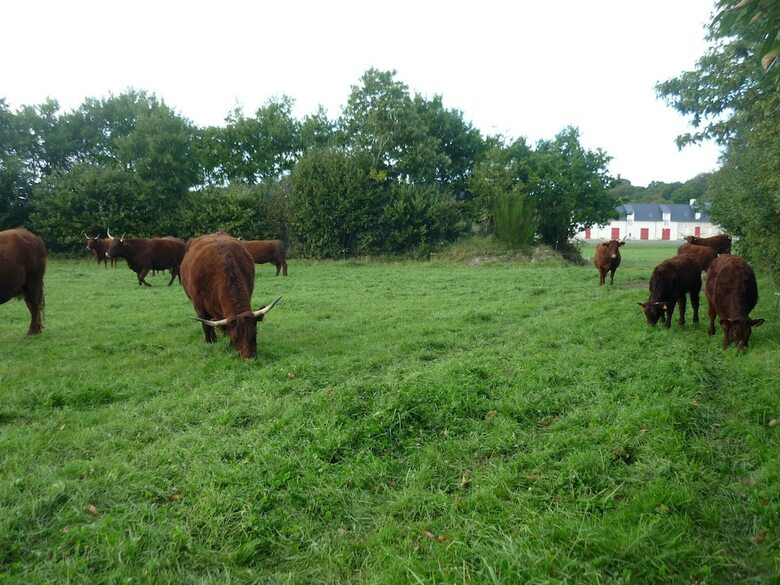 Hostal La Ferme De Vur Ven