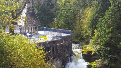 Hotel Au Moulin Des Truites Bleues