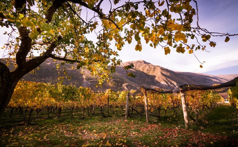 Hotel Gibbston Valley Lodge & Spa