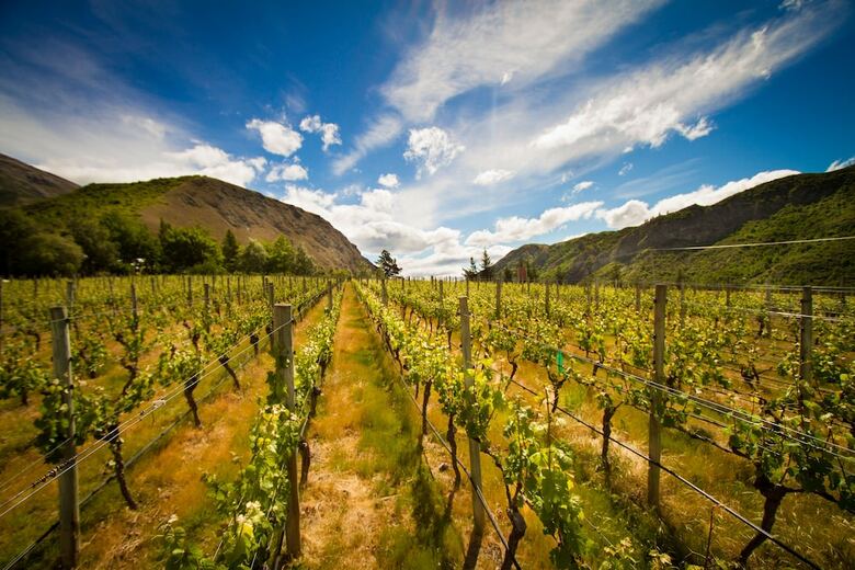 Hotel Gibbston Valley Lodge & Spa