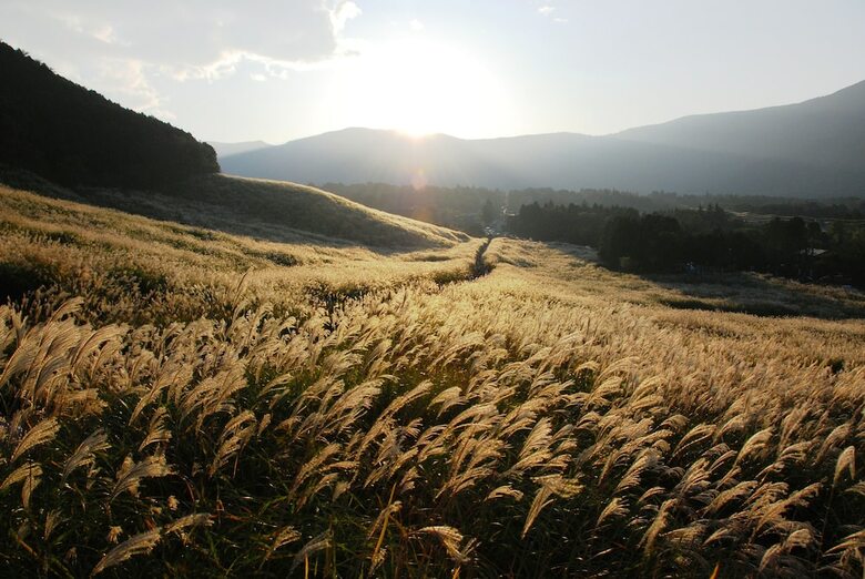 Hakone Sengokuhara Prince Hotel