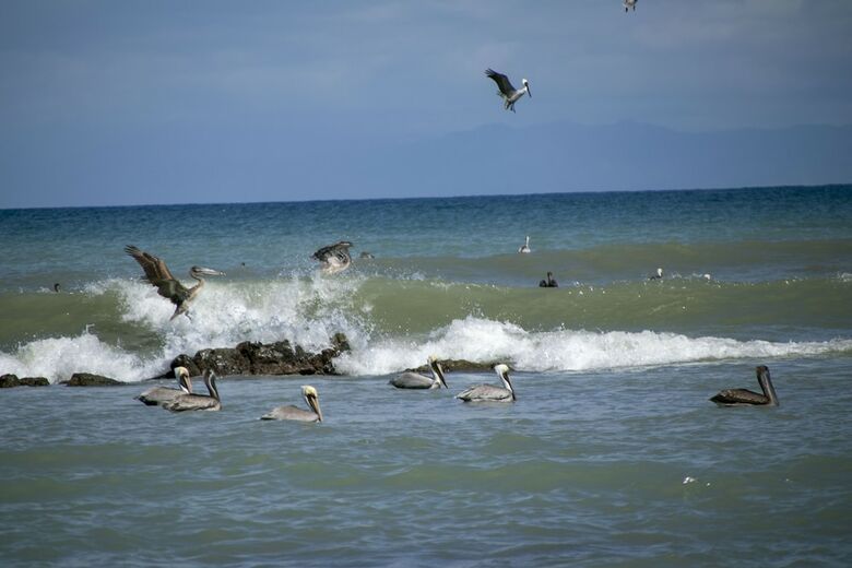 Hotel Villas Cabuya Beach & Forest