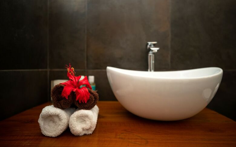Hotel Arya Boutique Resort
