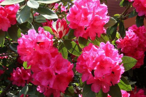 Hotel Au Relais De L'oust