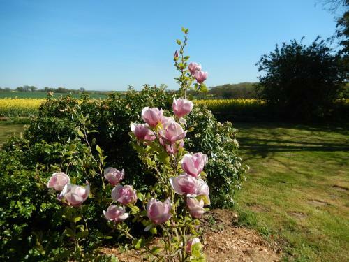 Bed & Breakfast Chambres D'h�tes - Domaine Des Perri�res