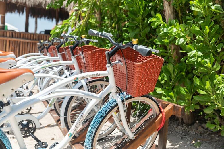 El Pez Colibri Boutique Hotels