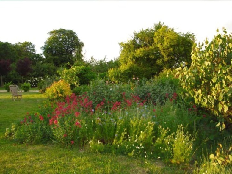 Bed & Breakfast Chambres D'hotes Tenue Du Fougeray