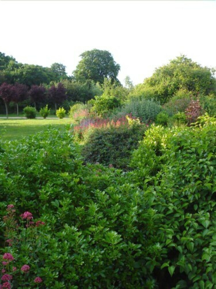 Bed & Breakfast Chambres D'hotes Tenue Du Fougeray