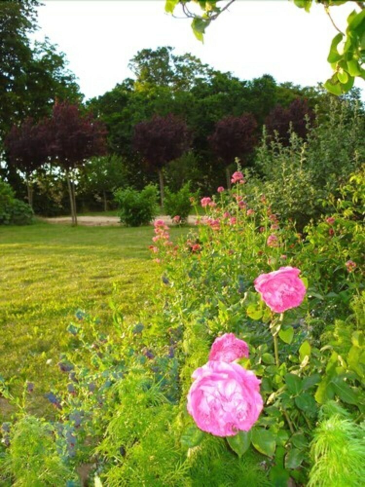 Bed & Breakfast Chambres D'hotes Tenue Du Fougeray