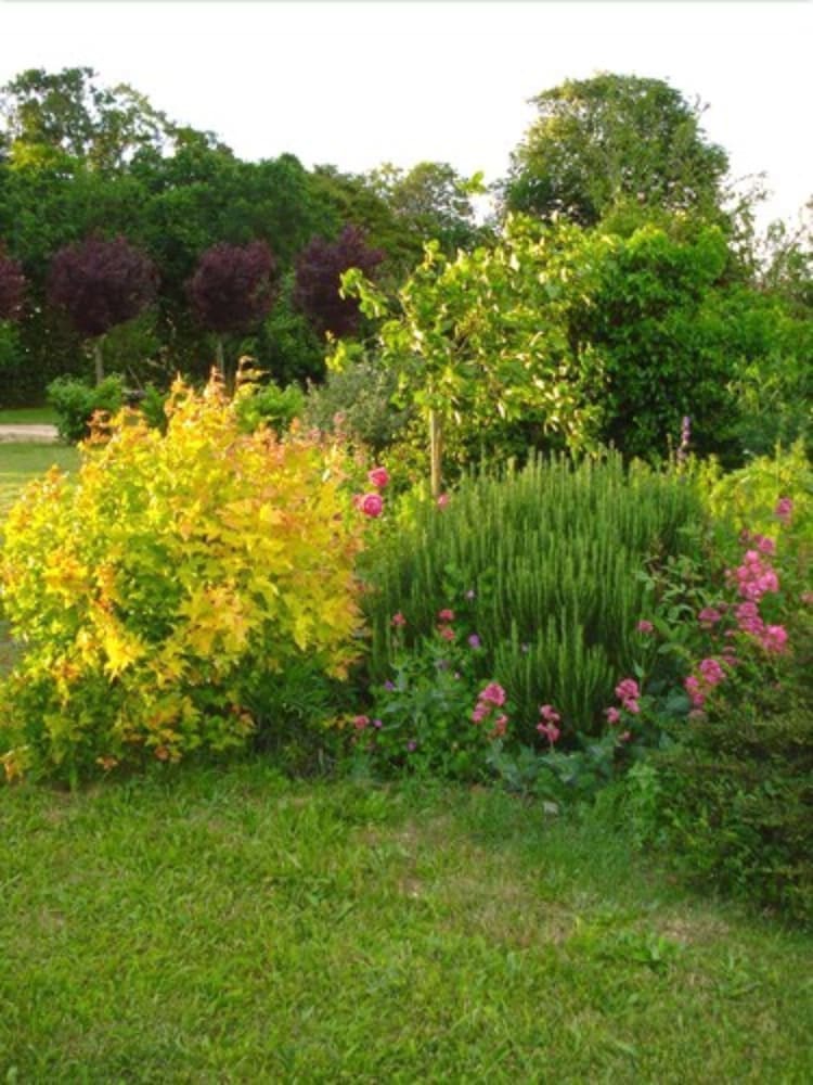 Bed & Breakfast Chambres D'hotes Tenue Du Fougeray