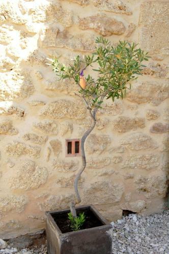 Bed & Breakfast Maison D'h�tes Le Mas De Lila