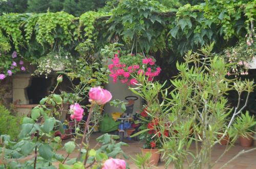 Bed & Breakfast Chambres D'h�tes La Forterie