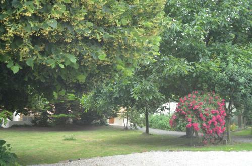 Bed & Breakfast Chambres D'h�tes La Forterie
