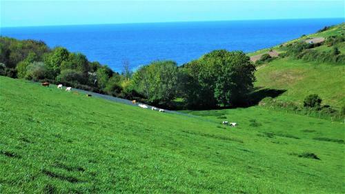 Bed & Breakfast Chambre D'h�tes Etretat