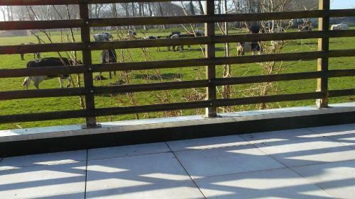 Bed & Breakfast Chambre D'h�tes Etretat