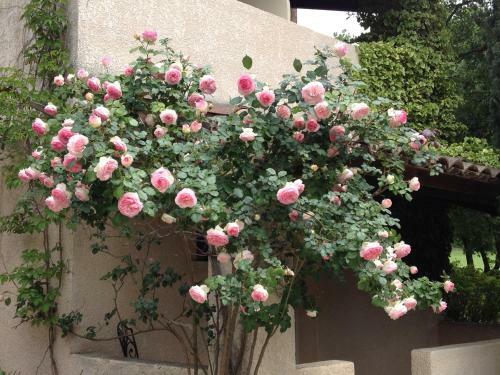 Hotel H�tel Lou Cale� Restaurant Le Rocher Des Abeilles