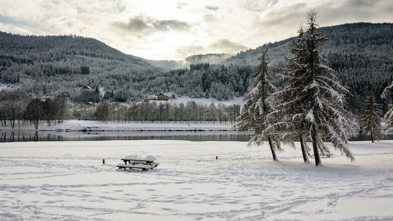 Camping Base De Loisirs Du Lac De La Moselotte