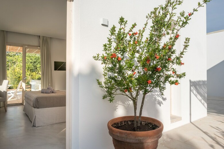 Bed & Breakfast Tenuta Donnanna
