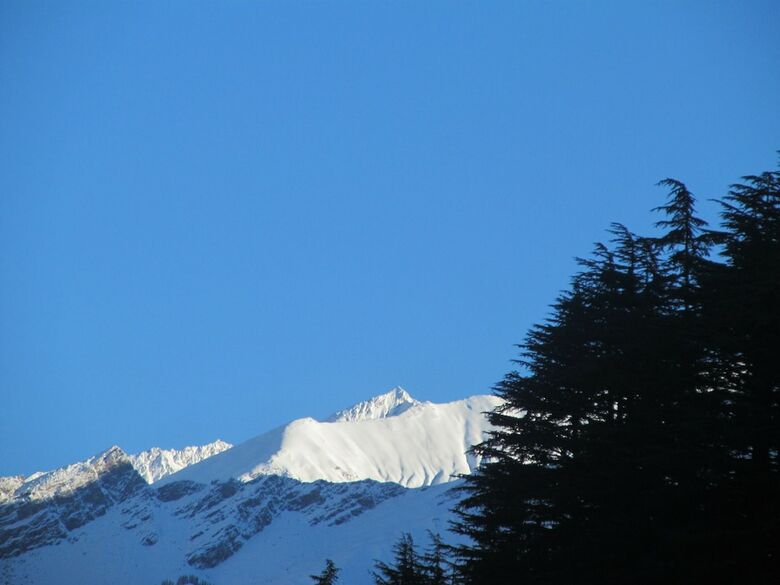 Hotel Manali Top Inn And Cafe