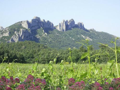 Lodge Holiday Home Romarin Valreas